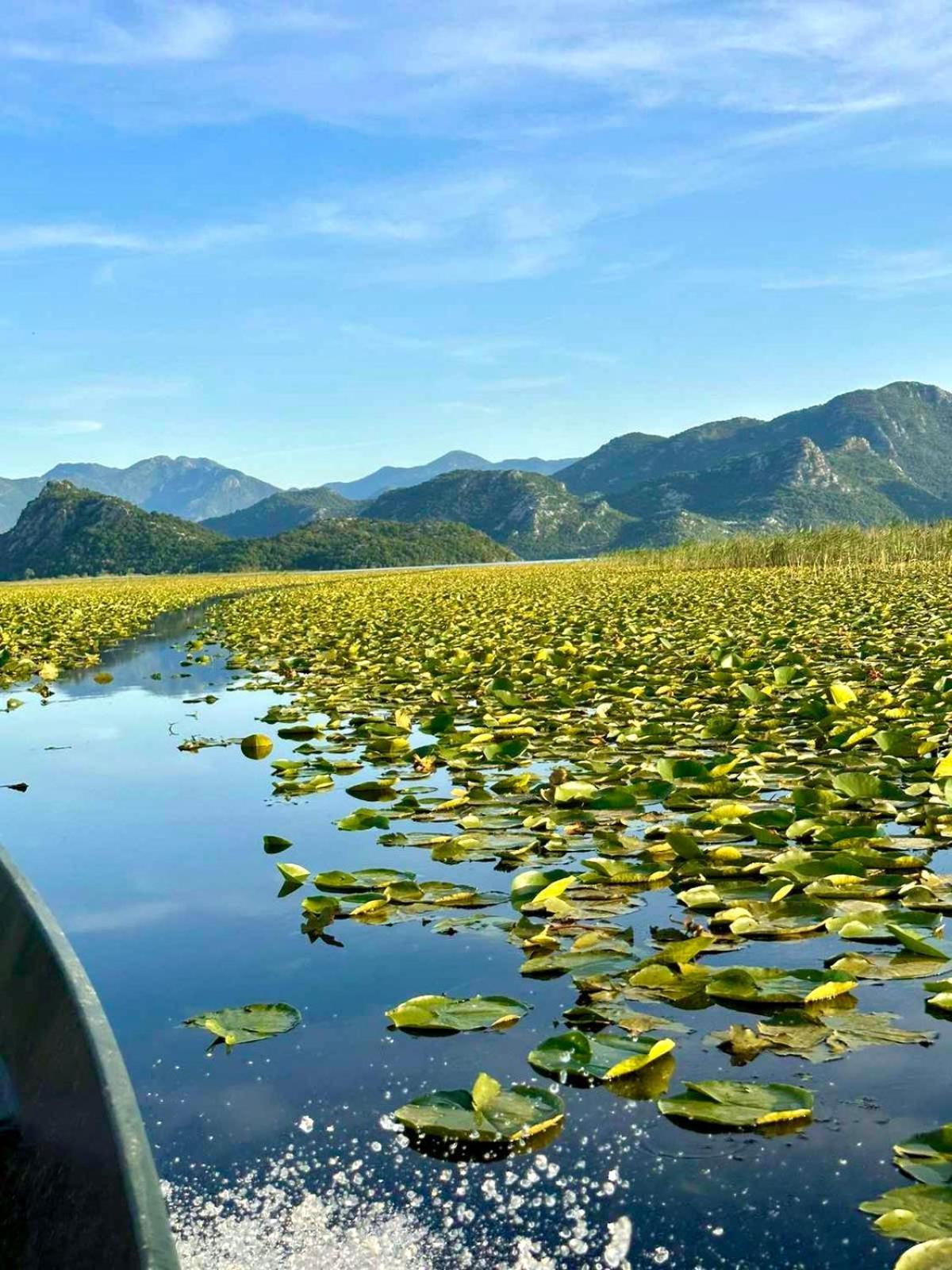 Casa Di Kiara, Skadar Lake Dodosi Esterno foto